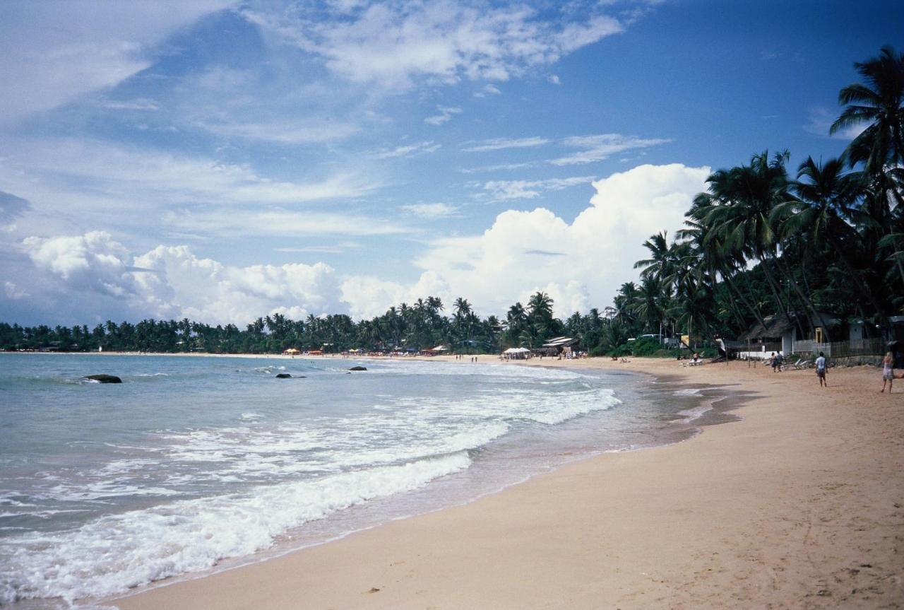 Hôtel Surf Sea Breeze à Mirissa Extérieur photo